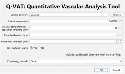 Q-VAT: Quantitative Vascular Analysis Tool
